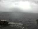 ./images/koeye/fitz-hugh/20160703/fitz-hugh20160703_100005.jpg