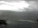 ./images/koeye/fitz-hugh/20160703/fitz-hugh20160703_103302.jpg