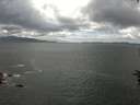 ./images/koeye/fitz-hugh/20160703/fitz-hugh20160703_140303.jpg