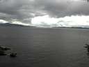 ./images/koeye/fitz-hugh/20160703/fitz-hugh20160703_150302.jpg
