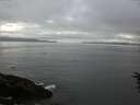 ./images/koeye/fitz-hugh/20160704/fitz-hugh20160704_060005.jpg