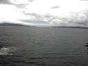 ./images/koeye/fitz-hugh/20160704/fitz-hugh20160704_140302.jpg