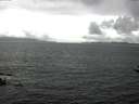 ./images/koeye/fitz-hugh/20160704/fitz-hugh20160704_150303.jpg