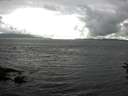 ./images/koeye/fitz-hugh/20160704/fitz-hugh20160704_160301.jpg