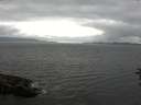 ./images/koeye/fitz-hugh/20160704/fitz-hugh20160704_180301.jpg