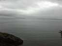 ./images/koeye/fitz-hugh/20160705/fitz-hugh20160705_083302.jpg