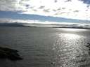 ./images/koeye/fitz-hugh/20160705/fitz-hugh20160705_180302.jpg