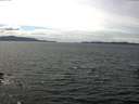 ./images/koeye/fitz-hugh/20160706/fitz-hugh20160706_143303.jpg