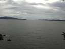 ./images/koeye/fitz-hugh/20160706/fitz-hugh20160706_170302.jpg