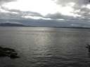 ./images/koeye/fitz-hugh/20160706/fitz-hugh20160706_180003.jpg