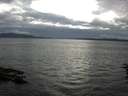 ./images/koeye/fitz-hugh/20160706/fitz-hugh20160706_180301.jpg