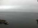 ./images/koeye/fitz-hugh/20160707/fitz-hugh20160707_060302.jpg