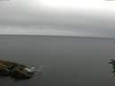 ./images/koeye/fitz-hugh/20160707/fitz-hugh20160707_070303.jpg