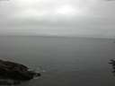 ./images/koeye/fitz-hugh/20160707/fitz-hugh20160707_073302.jpg