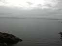 ./images/koeye/fitz-hugh/20160707/fitz-hugh20160707_080303.jpg
