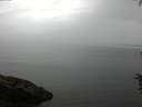./images/koeye/fitz-hugh/20160707/fitz-hugh20160707_090302.jpg