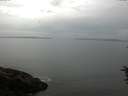 ./images/koeye/fitz-hugh/20160707/fitz-hugh20160707_103302.jpg