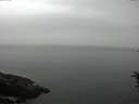 ./images/koeye/fitz-hugh/20160707/fitz-hugh20160707_120003.jpg