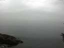 ./images/koeye/fitz-hugh/20160707/fitz-hugh20160707_120301.jpg