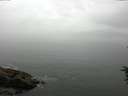 ./images/koeye/fitz-hugh/20160707/fitz-hugh20160707_121802.jpg