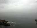 ./images/koeye/fitz-hugh/20160707/fitz-hugh20160707_122102.jpg