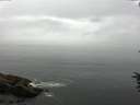./images/koeye/fitz-hugh/20160707/fitz-hugh20160707_122401.jpg