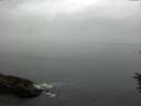 ./images/koeye/fitz-hugh/20160707/fitz-hugh20160707_123302.jpg