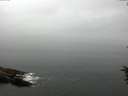 ./images/koeye/fitz-hugh/20160707/fitz-hugh20160707_130303.jpg