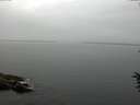 ./images/koeye/fitz-hugh/20160707/fitz-hugh20160707_133301.jpg