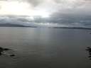 ./images/koeye/fitz-hugh/20160708/fitz-hugh20160708_060005.jpg
