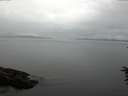./images/koeye/fitz-hugh/20160708/fitz-hugh20160708_080005.jpg