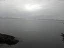 ./images/koeye/fitz-hugh/20160708/fitz-hugh20160708_080303.jpg