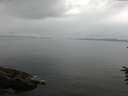 ./images/koeye/fitz-hugh/20160708/fitz-hugh20160708_083303.jpg