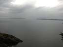 ./images/koeye/fitz-hugh/20160708/fitz-hugh20160708_093303.jpg