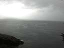 ./images/koeye/fitz-hugh/20160708/fitz-hugh20160708_110302.jpg