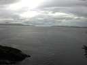./images/koeye/fitz-hugh/20160708/fitz-hugh20160708_123301.jpg