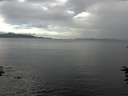 ./images/koeye/fitz-hugh/20160708/fitz-hugh20160708_163303.jpg