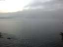 ./images/koeye/fitz-hugh/20160709/fitz-hugh20160709_053302.jpg