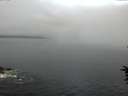 ./images/koeye/fitz-hugh/20160709/fitz-hugh20160709_060301.jpg