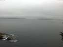 ./images/koeye/fitz-hugh/20160709/fitz-hugh20160709_070302.jpg