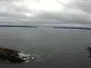 ./images/koeye/fitz-hugh/20160709/fitz-hugh20160709_083302.jpg