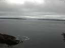 ./images/koeye/fitz-hugh/20160709/fitz-hugh20160709_090302.jpg