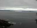 ./images/koeye/fitz-hugh/20160709/fitz-hugh20160709_093302.jpg