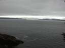 ./images/koeye/fitz-hugh/20160709/fitz-hugh20160709_100302.jpg