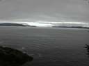 ./images/koeye/fitz-hugh/20160709/fitz-hugh20160709_110303.jpg