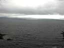 ./images/koeye/fitz-hugh/20160709/fitz-hugh20160709_160301.jpg