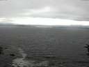 ./images/koeye/fitz-hugh/20160709/fitz-hugh20160709_163303.jpg