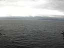 ./images/koeye/fitz-hugh/20160709/fitz-hugh20160709_180003.jpg