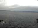 ./images/koeye/fitz-hugh/20160710/fitz-hugh20160710_060006.jpg