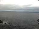 ./images/koeye/fitz-hugh/20160710/fitz-hugh20160710_060302.jpg